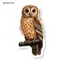 Spotted Owl Sticker Pack (10 Stickers)