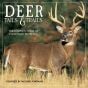 Deer Tails & Trails