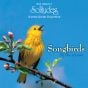 Songbirds By The Stream: Solitudes Cd