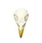 Eagle (Bald) Skull Replica
