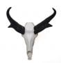 Antelope (Pronghorn) Skull Replica
