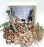 Evergreen Forest Diorama (Create-A-Scene® Habitat Diorama Kit).