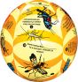Insects Instructional Play Ball