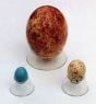 Conical Plastic Egg Holder (Small)