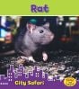 Rat (City Safari Series).