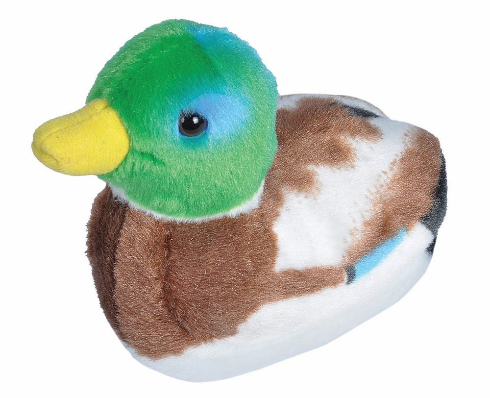 Duck (Mallard) Audubon Plush®