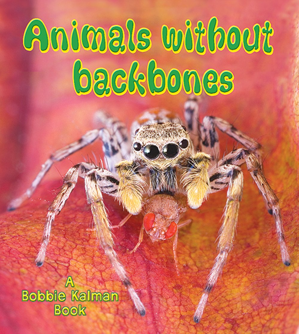 Animals Without Backbones (Big Science Ideas Series)