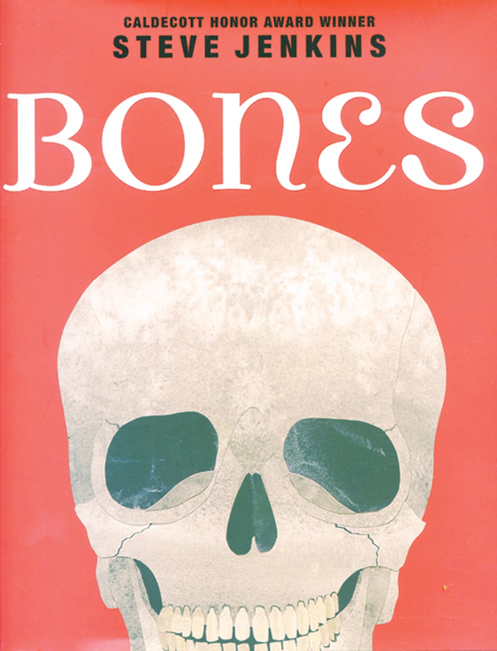 Bones: Skeletons and How They Work