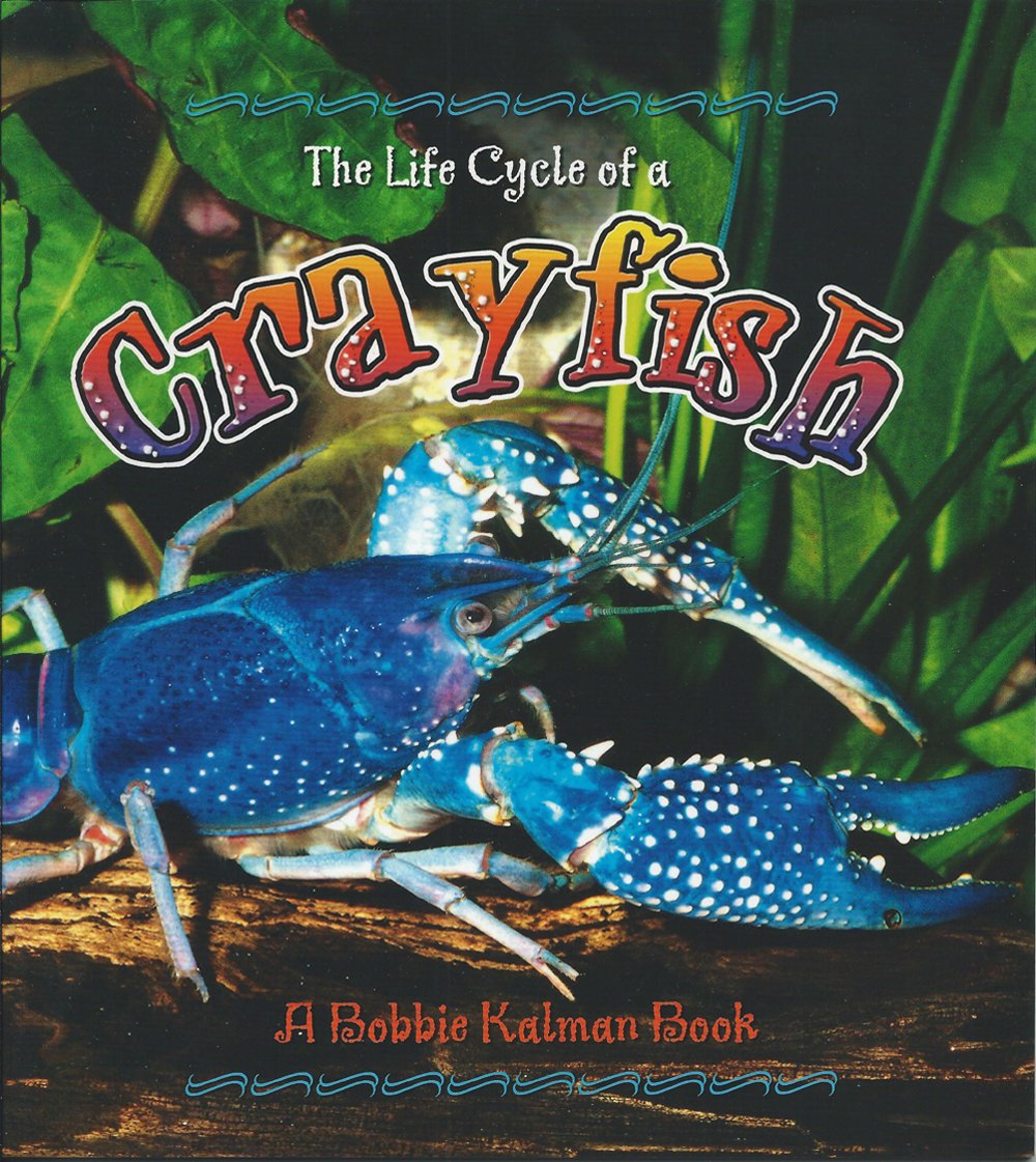 Life Cycle of a Crayfish