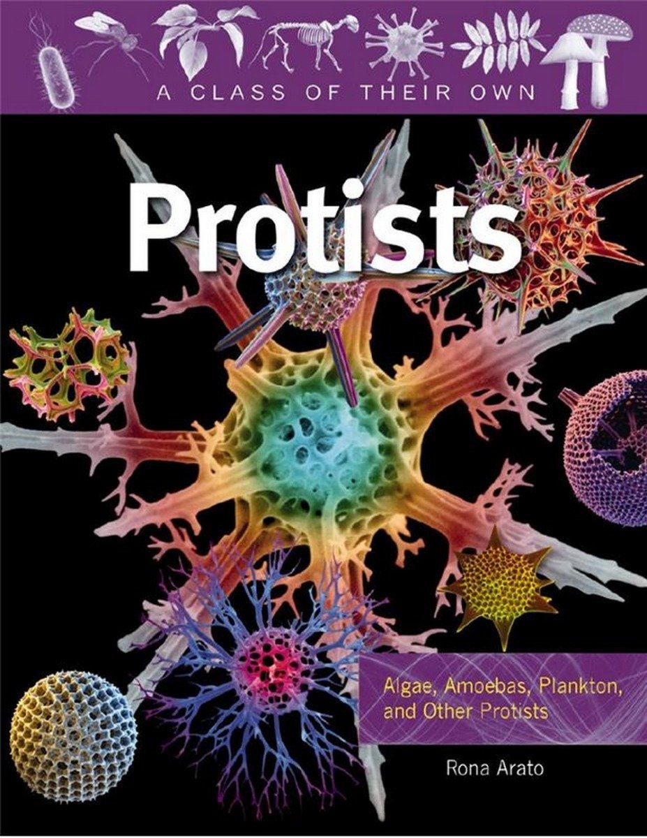 Protists (A Class of their Own Series)