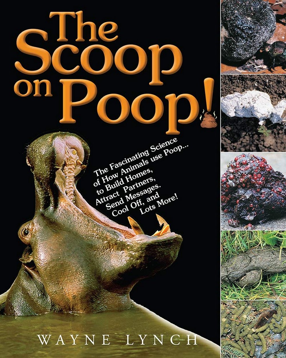 Scoop on Poop (Paperback)