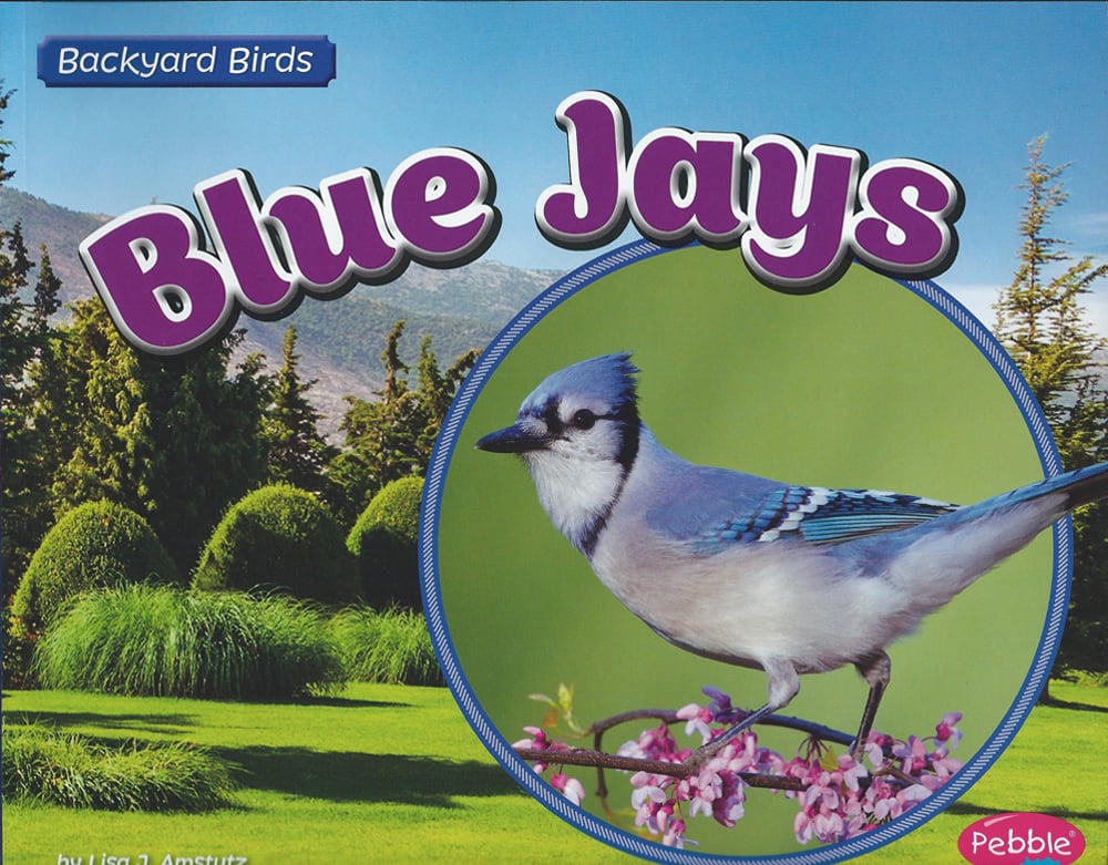 Blue Jays (Backyard Bird Series)