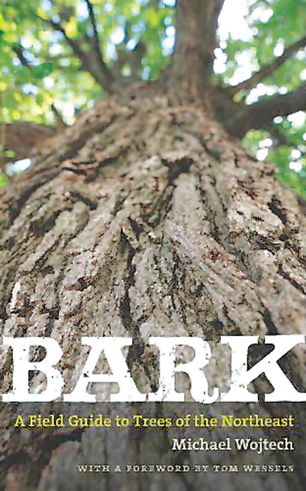 Bark: A Field Guide to Trees of the Northeast (Previous Edition)