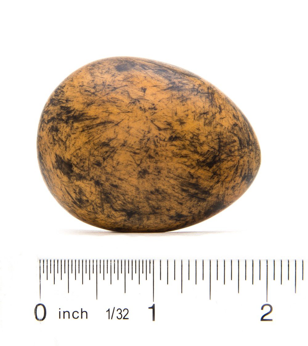 Falcon (Peregrine) Egg Replica