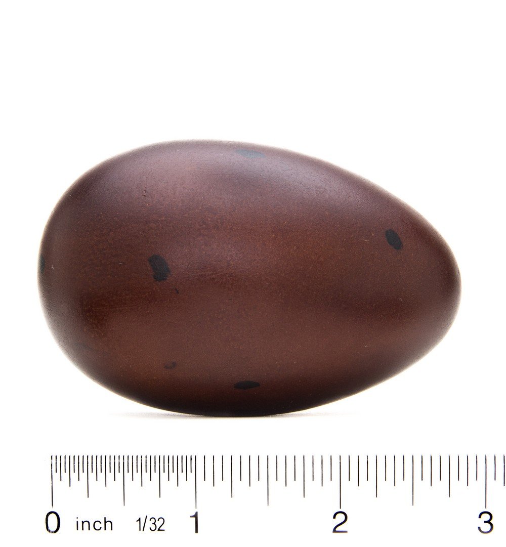 Loon (Common) Egg Replica