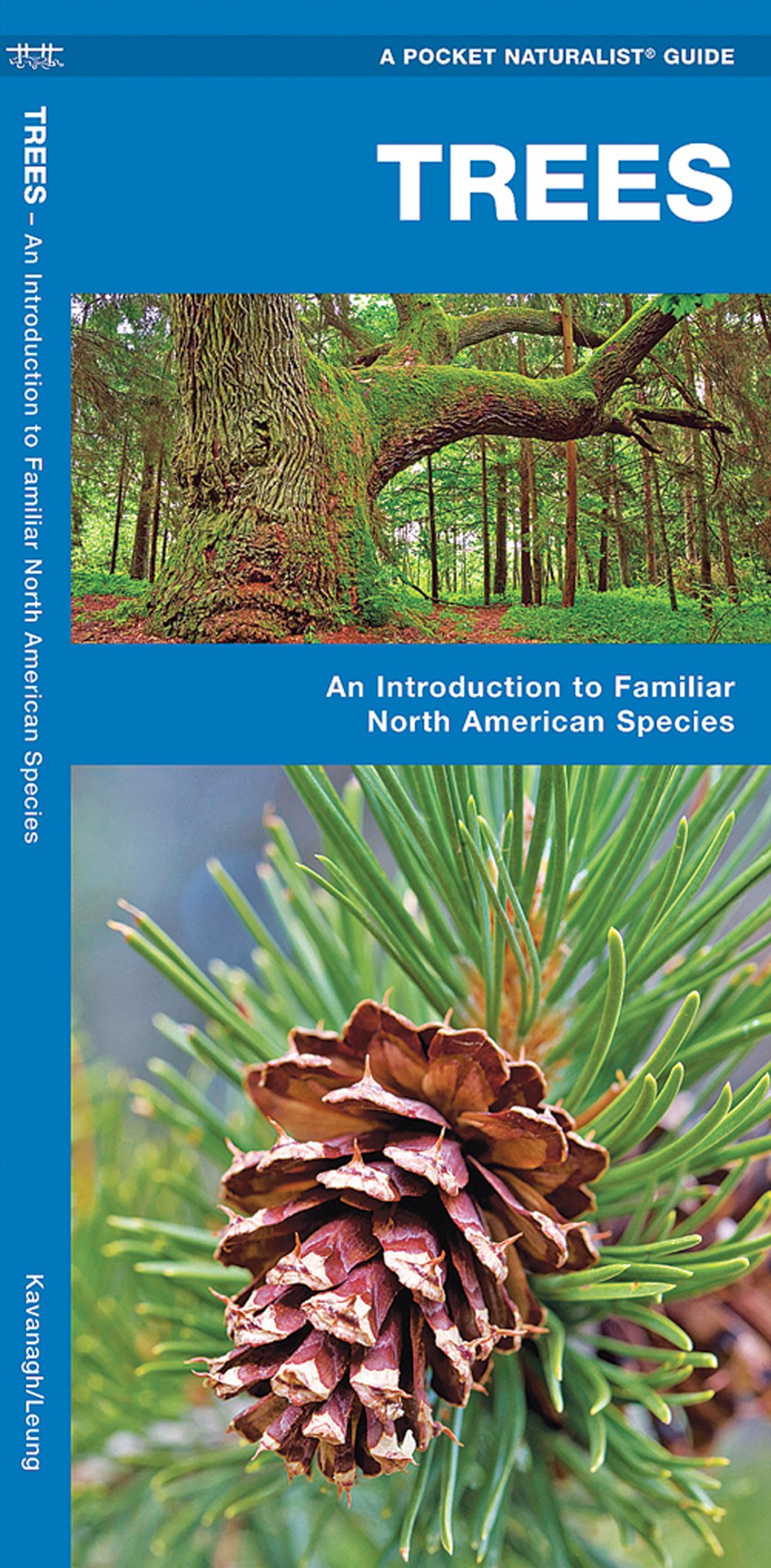 Trees (Pocket Naturalist® Guide)