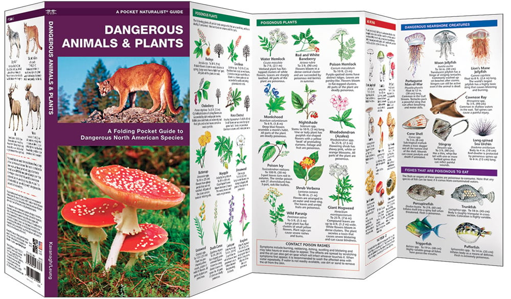 Dangerous Animals & Plants (Pocket Naturalist® Guide)