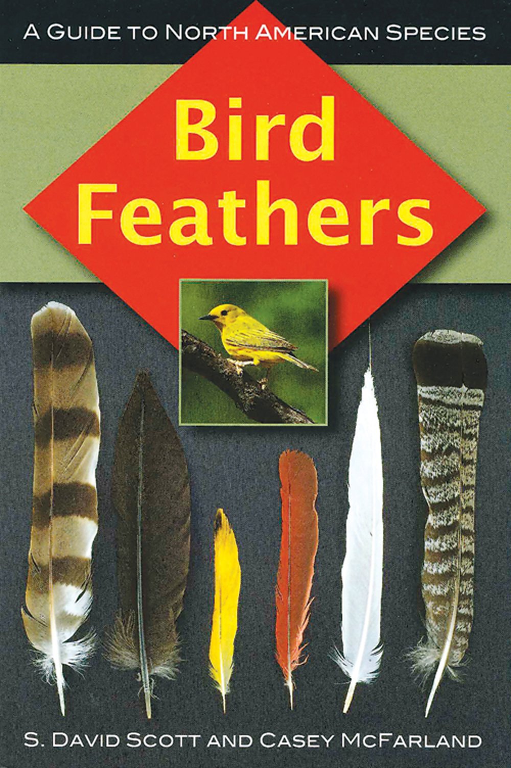 Bird Feathers: A Guide to North American Species