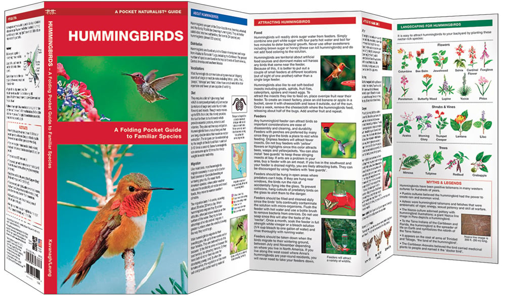 Hummingbirds (Pocket Naturalist® Guide)