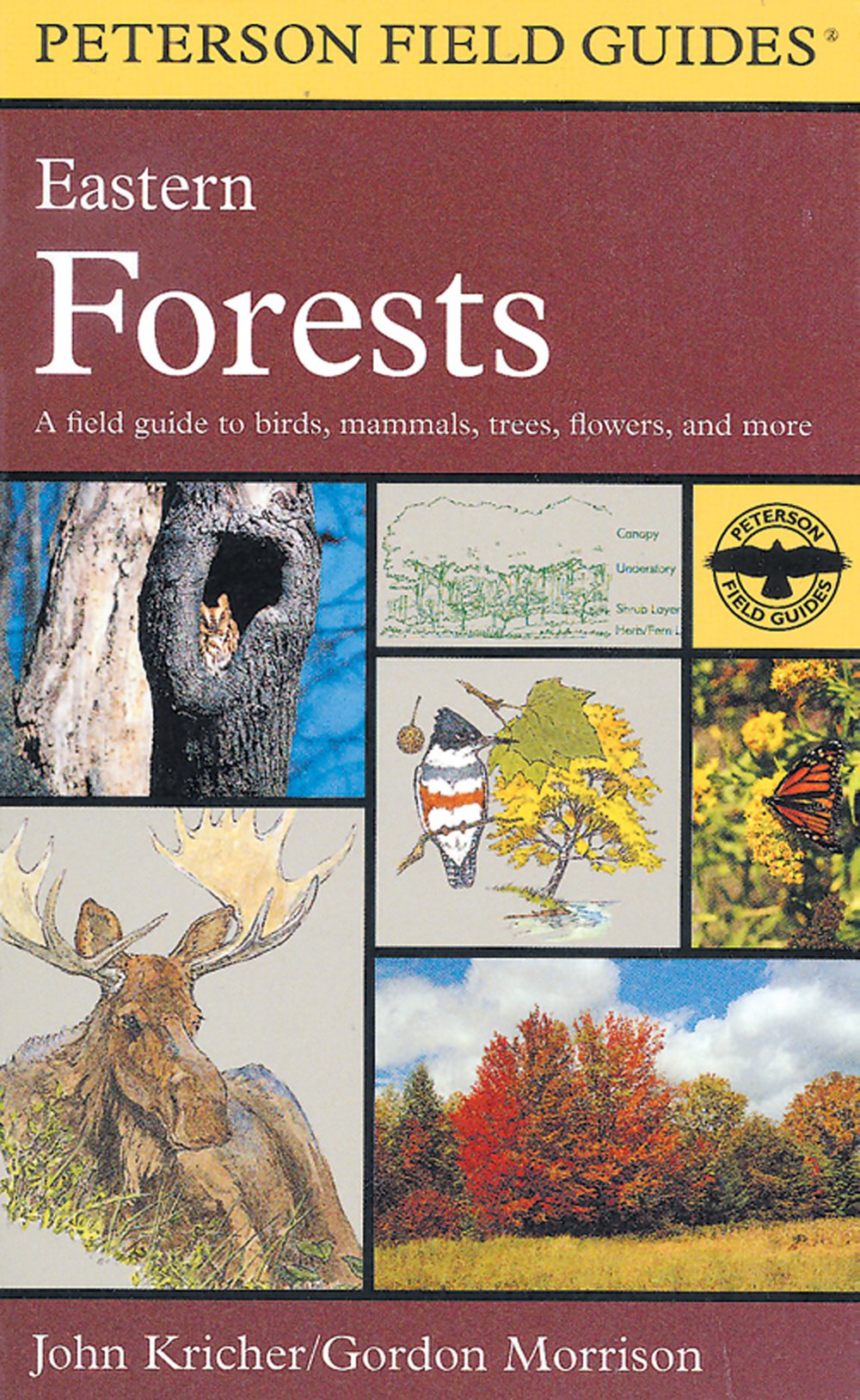 Eastern Forests (Peterson Field Guide®)