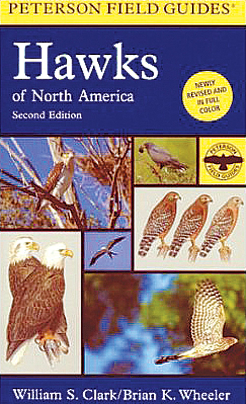 Hawks of North America (Peterson Field Guide®)