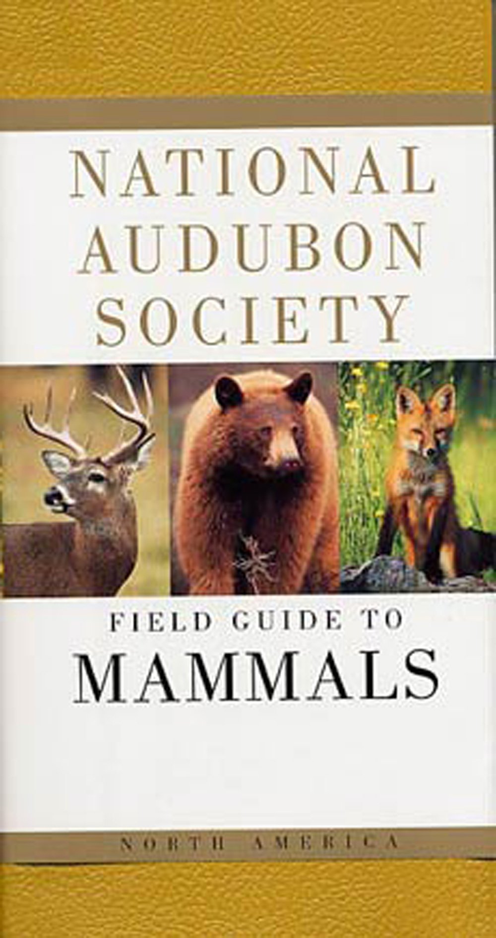 Field Guide to Mammals (National Audubon Society®)