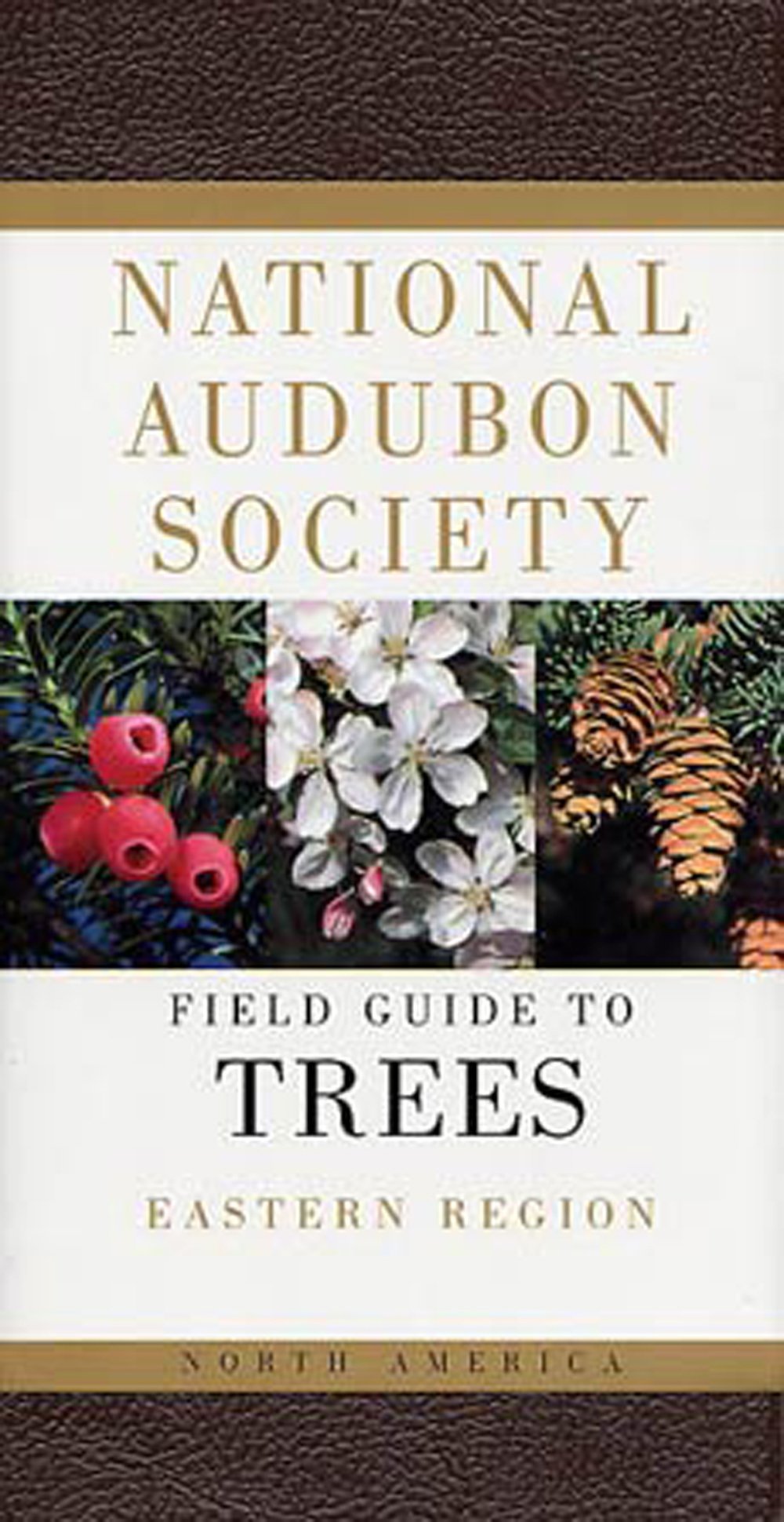 Field Guide to Trees, Eastern Region (National Audubon Society®)