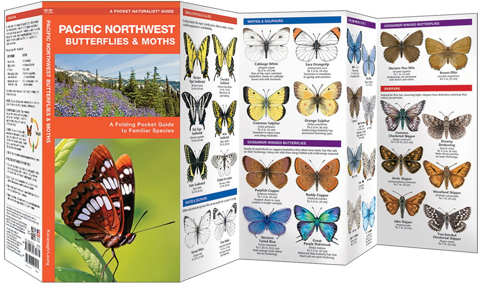 Pacific Northwest Butterflies & Moths (Pocket Naturalist® Guide)
