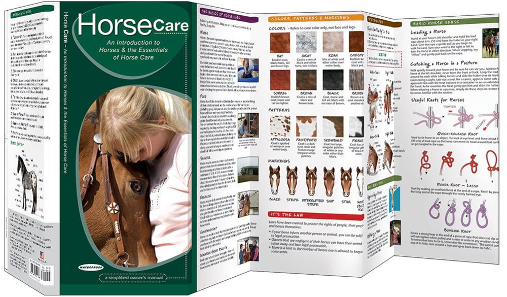 Horse Care (Pocket Naturalist® Guide)