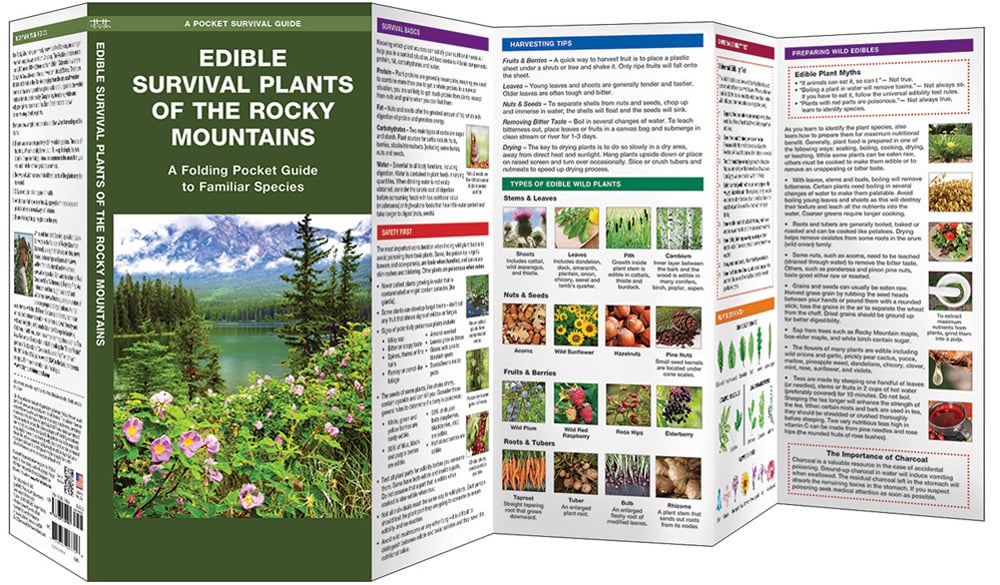 Edible Plants of the Rocky Mountains (Pocket Naturalist® Guide)