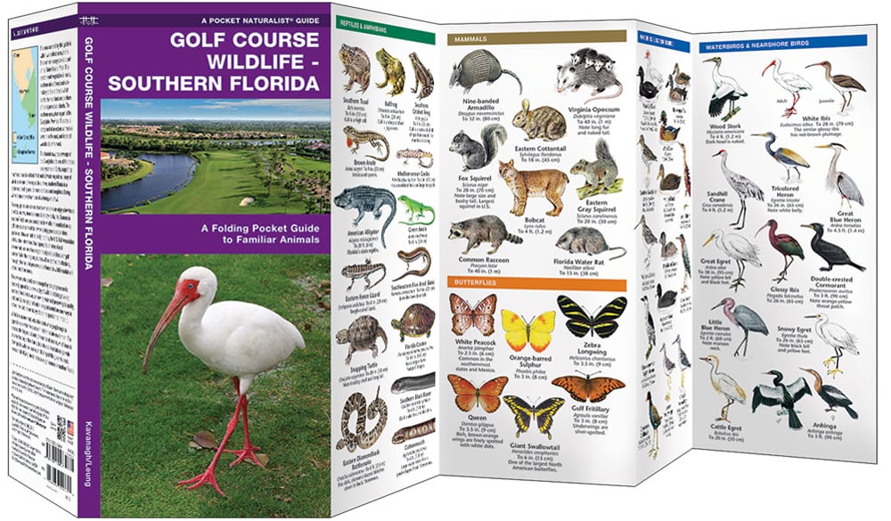 Golf Course Wildlife: Southern Florida (Pocket Naturalist® Guide)