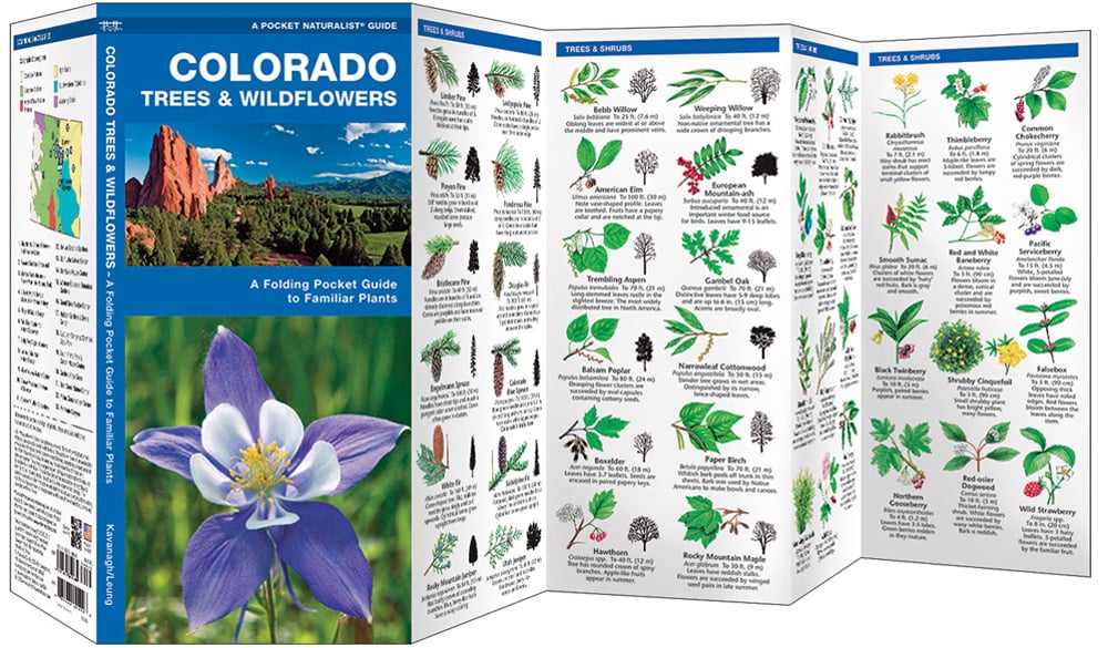 Colorado Trees & Wildflowers (Pocket Naturalist® Guide)