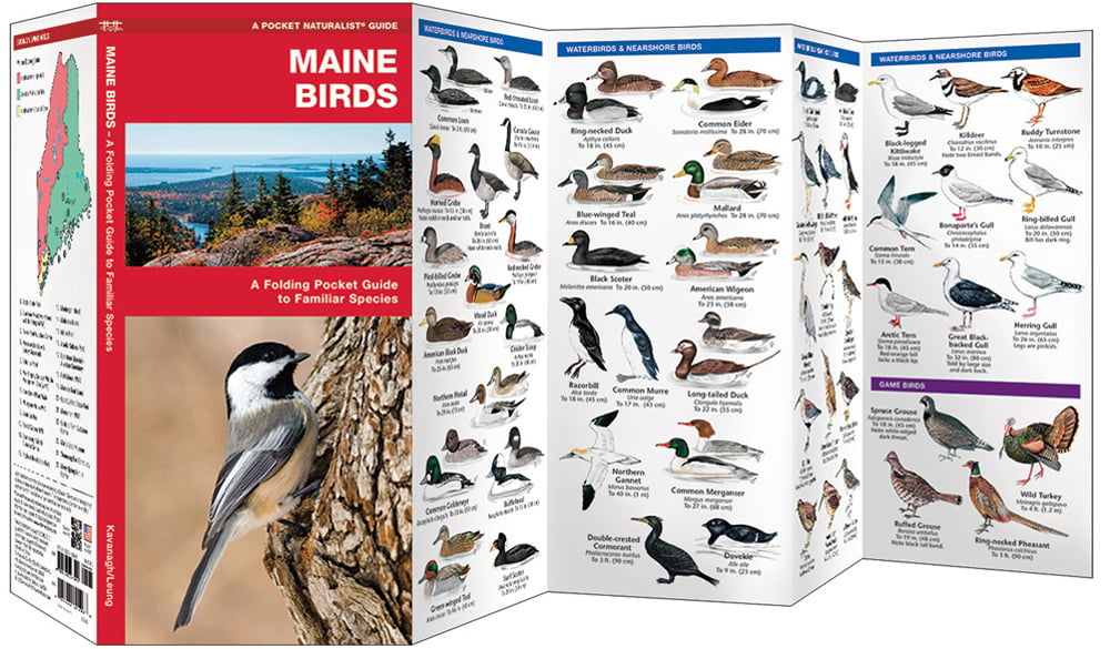 Maine Birds Pocket Naturalist Guide,Crock Pot Tofu Chili