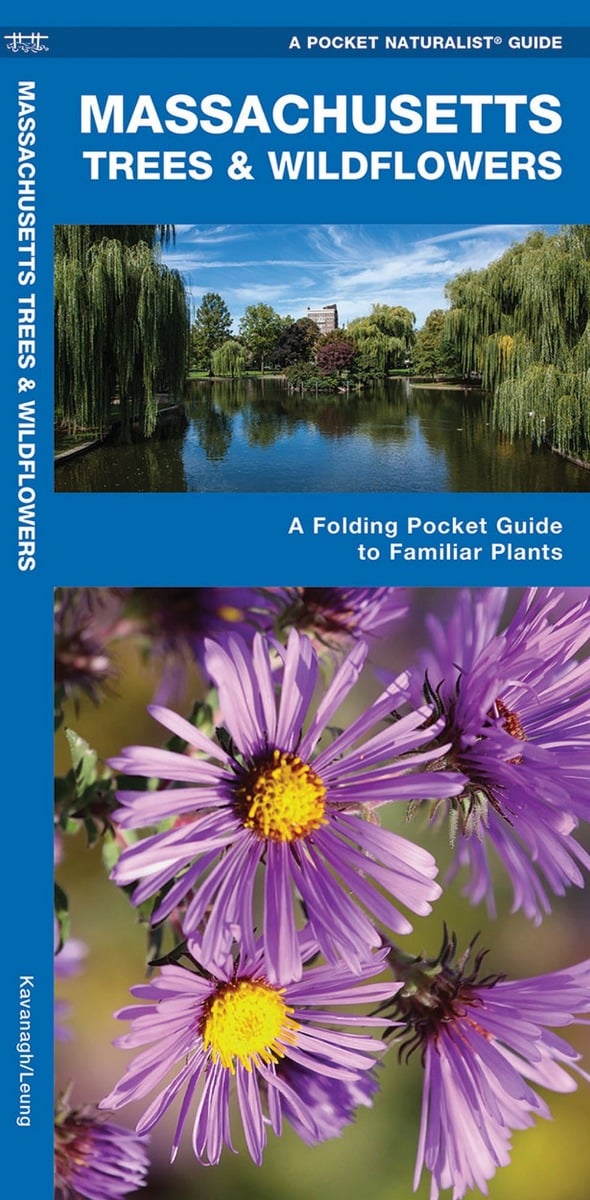 Massachusetts Trees & Wildflowers (Pocket Naturalist® Guide)