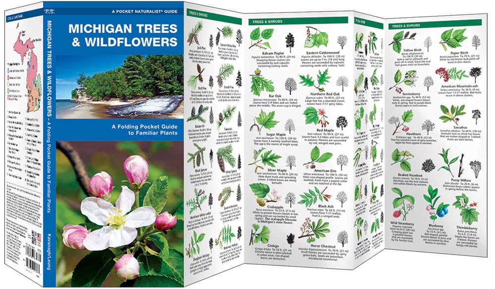 Michigan Trees & Wildflowers (Pocket Naturalist® Guide)
