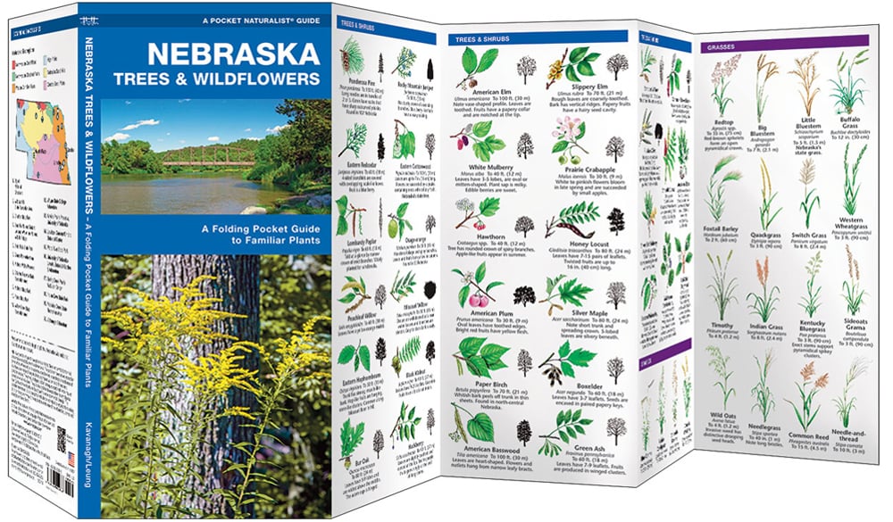 Nebraska Trees & Wildflowers (Pocket Naturalist® Guide)
