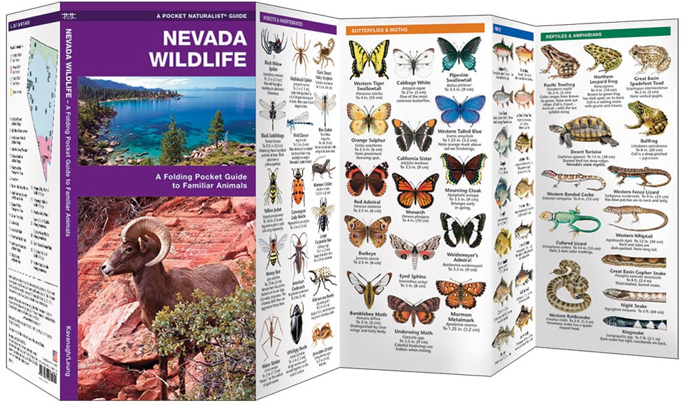 Nevada Wildlife (Pocket Naturalist® Guide)