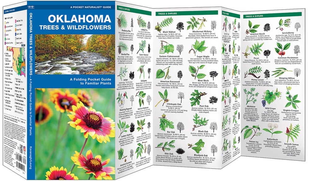 Oklahoma Trees & Wildflowers (Pocket Naturalist® Guide)