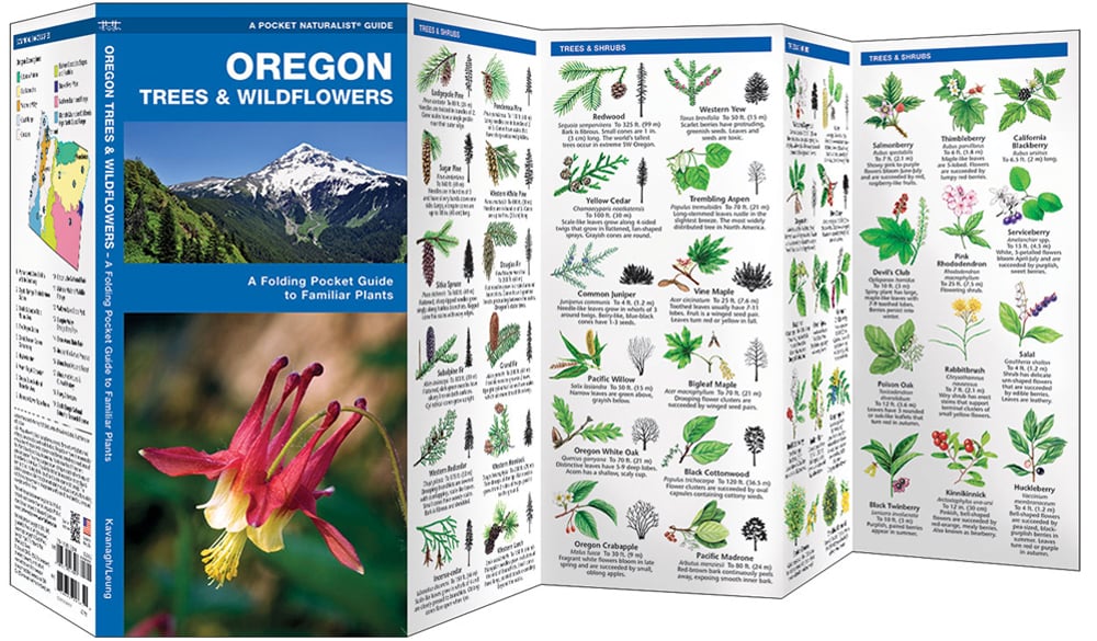 Oregon Trees & Wildflowers (Pocket Naturalist® Guide)