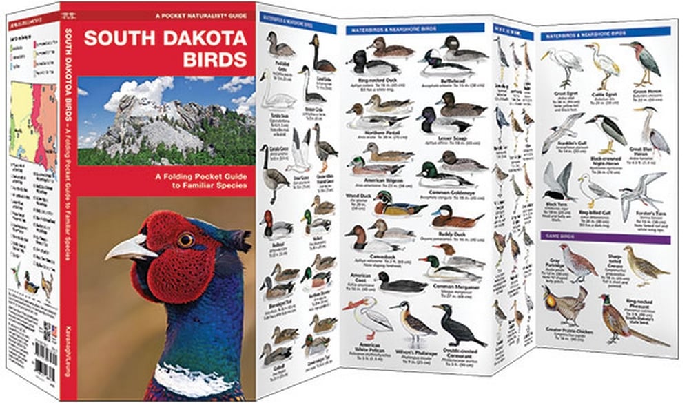 South Dakota Birds (Pocket Naturalist® Guide)