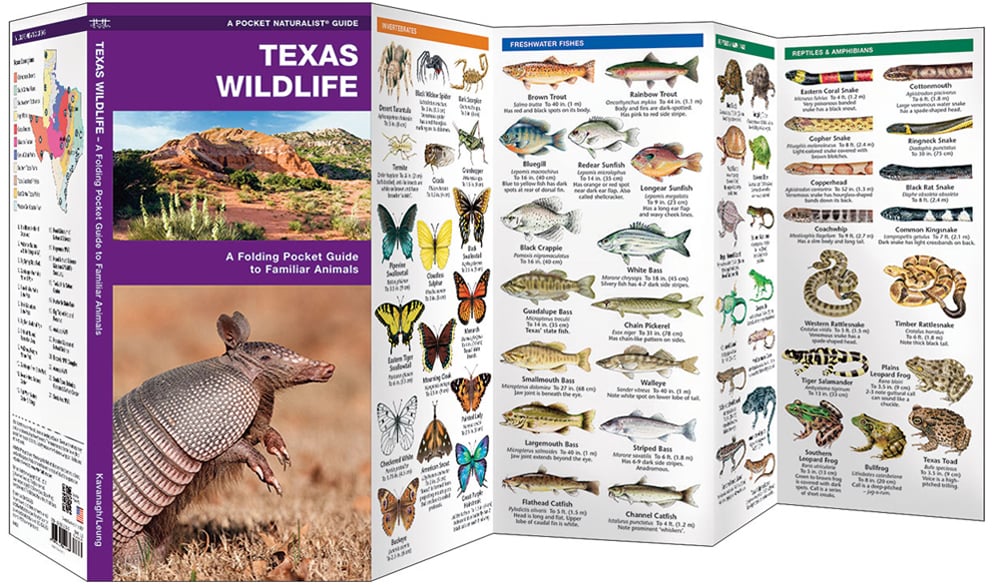 Texas Wildlife (Pocket Naturalist® Guide)