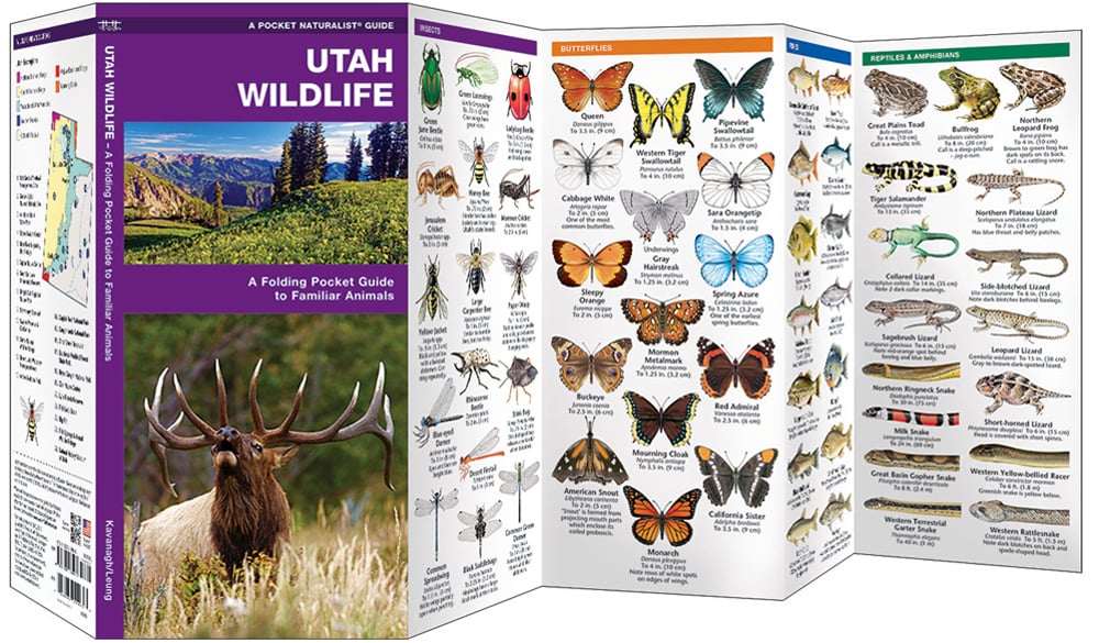 Utah Wildlife (Pocket Naturalist® Guide)