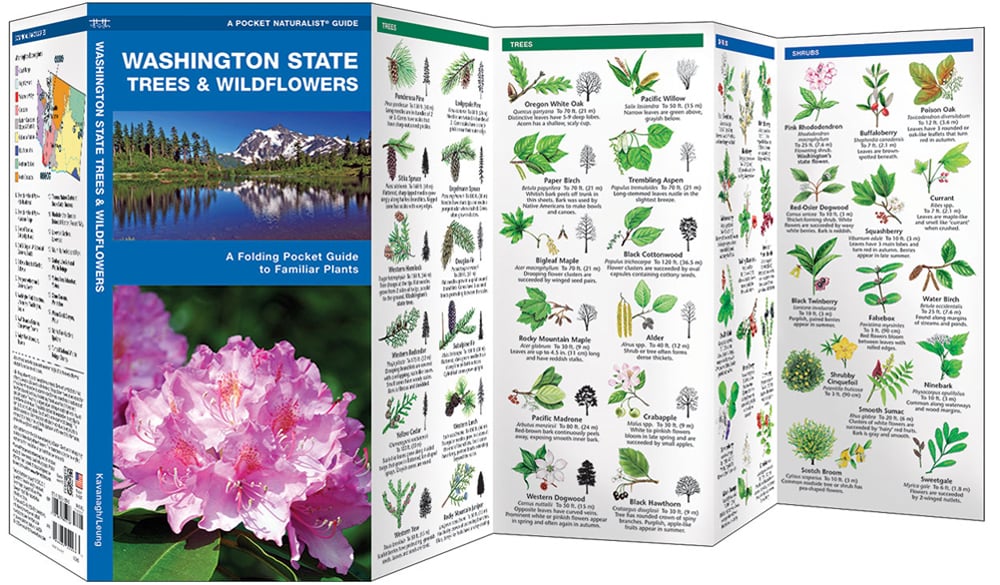Washington State Trees & Wildflowers (Pocket Naturalist® Guide)