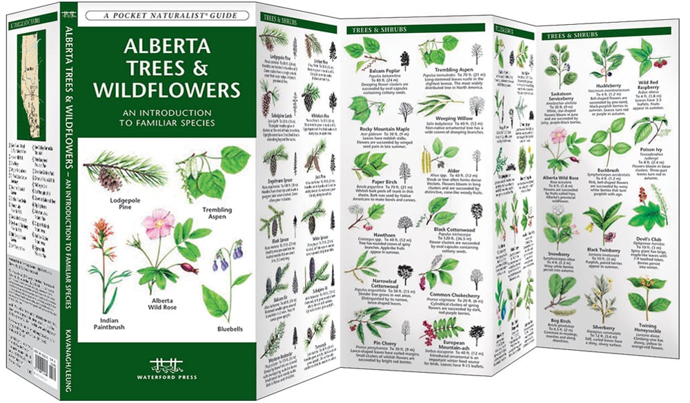 Alberta Trees /& Wildflowers A Folding Pocket Guide to Familiar Plants