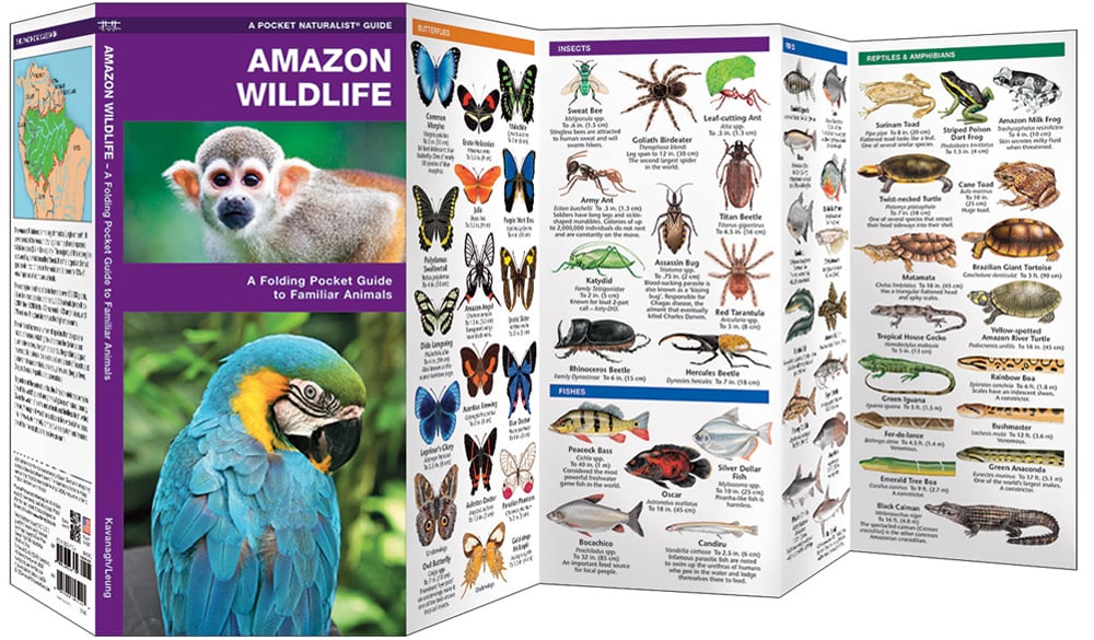 Amazon Wildlife, 2nd Edition (Pocket Naturalist® Guide)