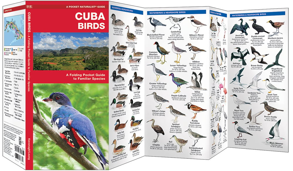 Cuba Birds (Pocket Naturalist® Guide)