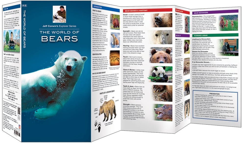 World of Bears, The (Jeff Corwin's Explorer Series®)
