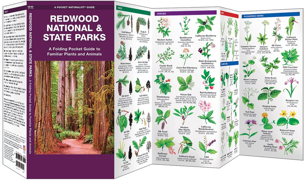 Redwood National & State Parks (Pocket Naturalist® Guide)