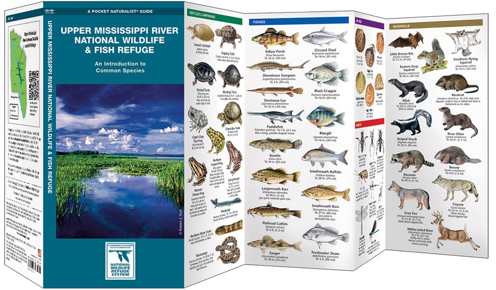 Upper Mississippi River National Wildlife & Fish Refuge (Pocket Naturalist®  Guide)