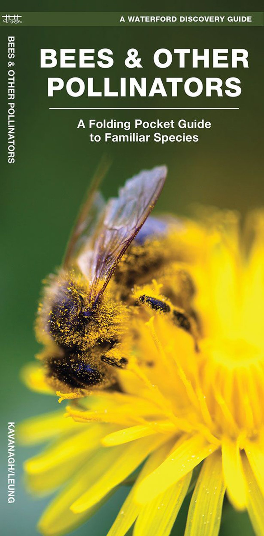 Bees & Other Pollinators (Waterford Discovery® Guide)